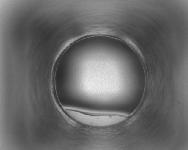 X0000062601093200512210904