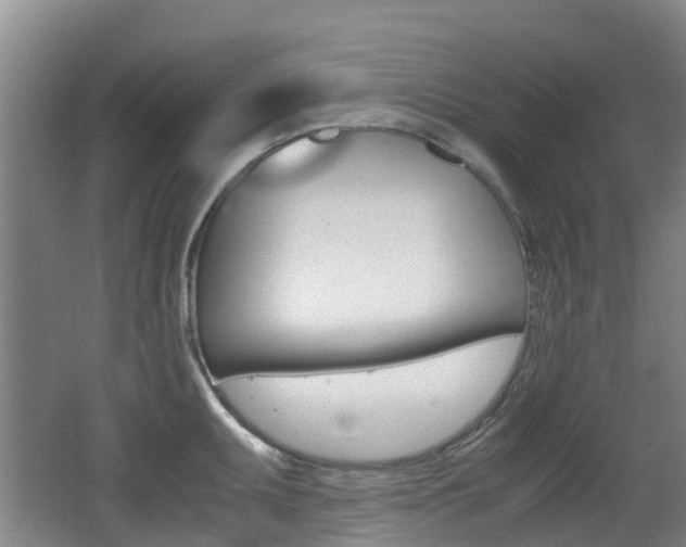 X0000062601095200512210904