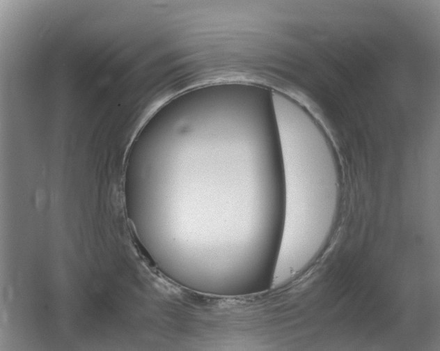 X0000062601097200512210904