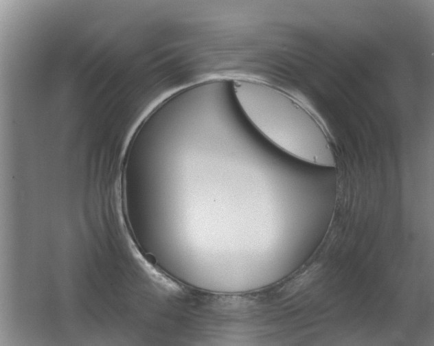 X0000062601100200512210904