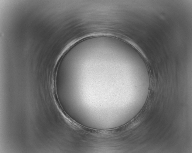 X0000062601101200512210904