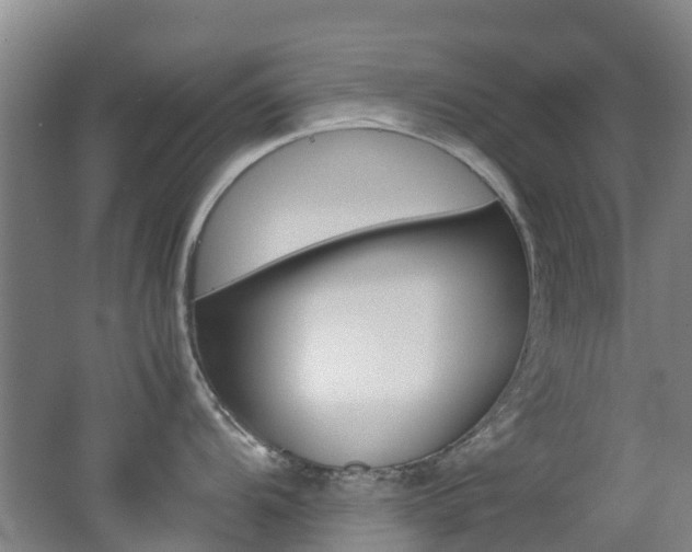 X0000062601104200512210904
