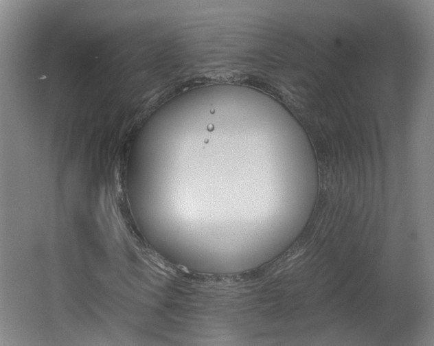 X0000062601106200512210903