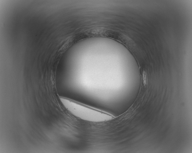 X0000062601107200512210903