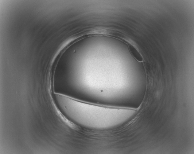 X0000062601131200512210903