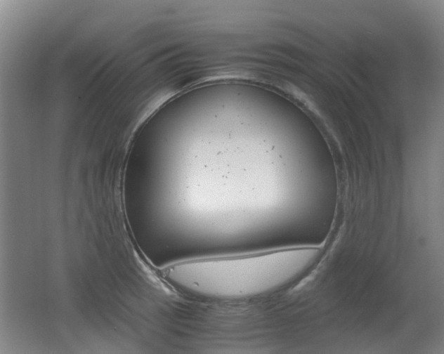 X0000062601137200512210903