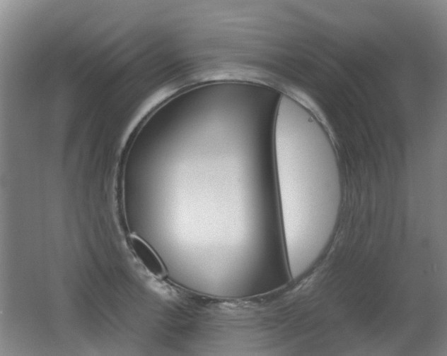 X0000062601138200512210903