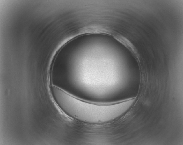 X0000062601144200512210903