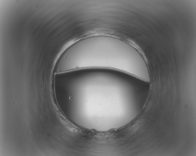 X0000062601146200512210903