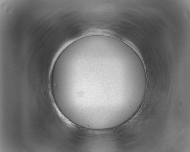 X0000062601152200512210904