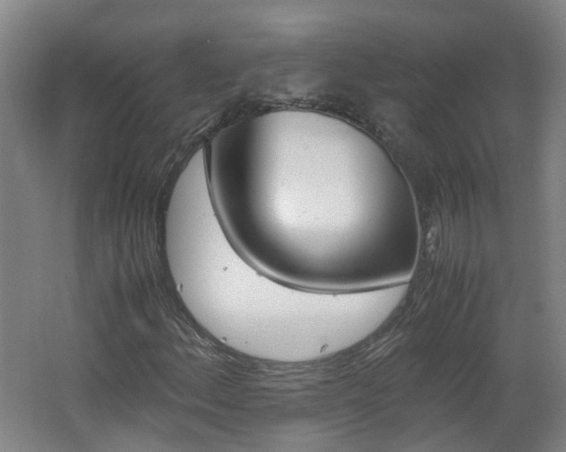 X0000062601156200512210903