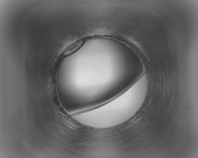 X0000062601160200512210903