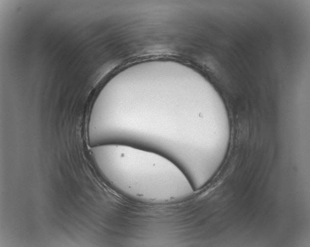 X0000062601162200512210903