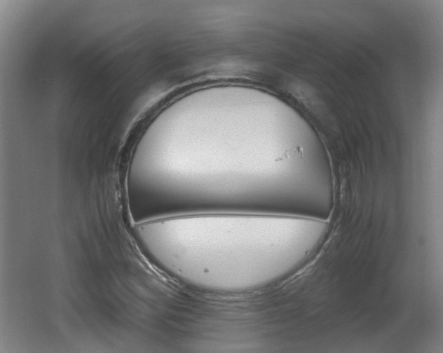 X0000062601164200512210902