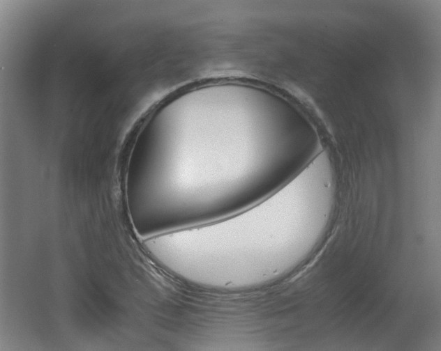 X0000062601167200512210902