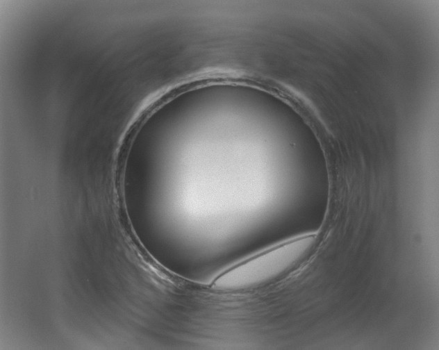 X0000062601168200512210902