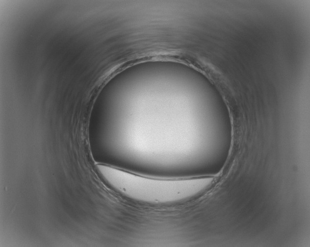 X0000062601169200512210902