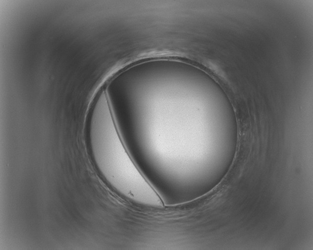 X0000062601173200512210902