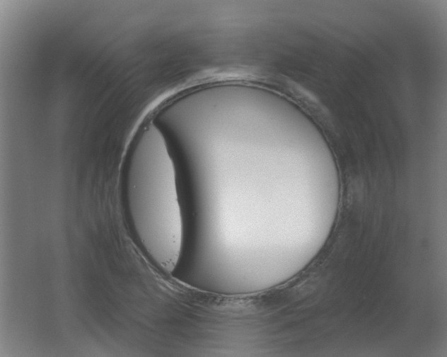 X0000062601174200512210902