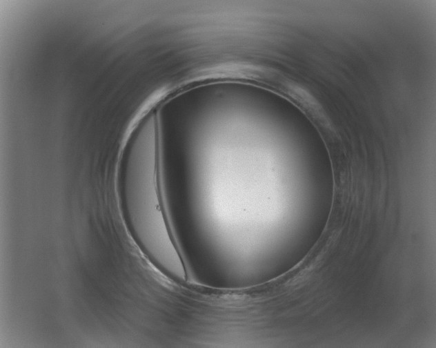 X0000062601180200512210902