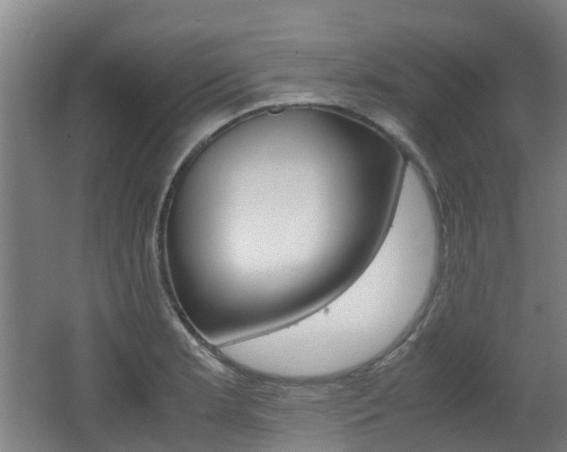 X0000062601181200512210902