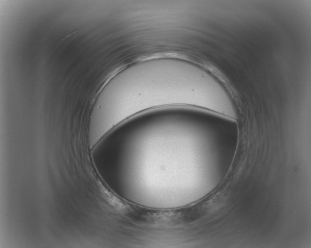 X0000062601193200512210902