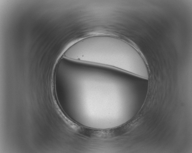 X0000062601195200512210902