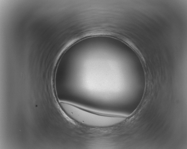 X0000062601197200512210902
