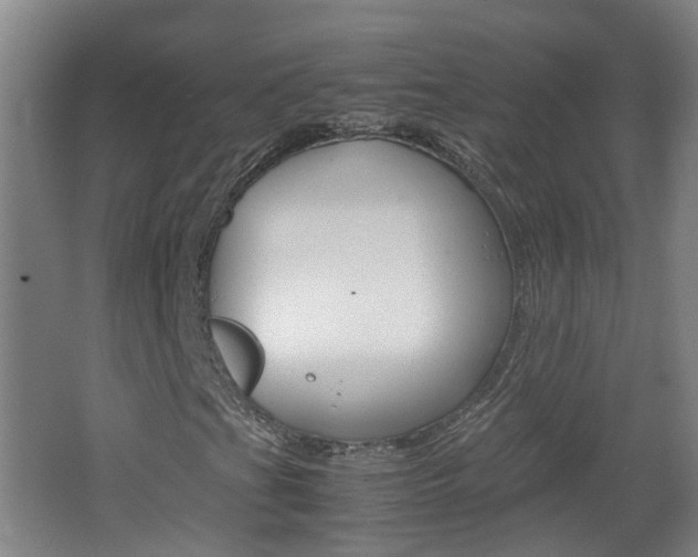 X0000062601201200512210901