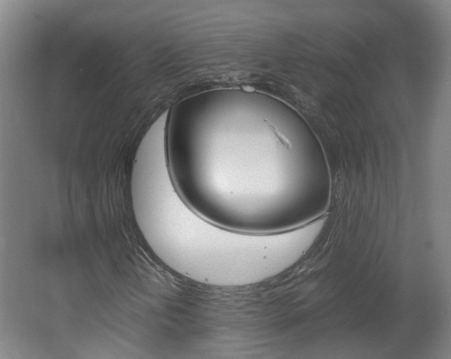 X0000062601202200512210901
