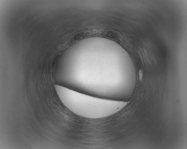 X0000062601203200512210901