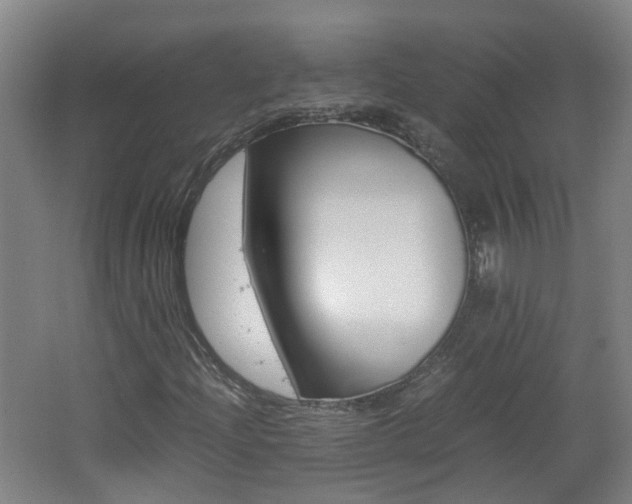 X0000062601204200512210901