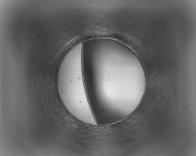 X0000062601205200512210901
