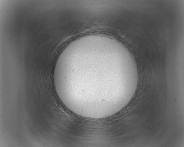 X0000062601206200512210901