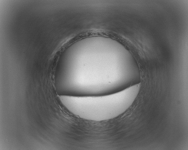 X0000062601207200512210901