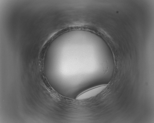 X0000062601208200512210901