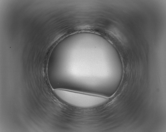 X0000062601209200512210901