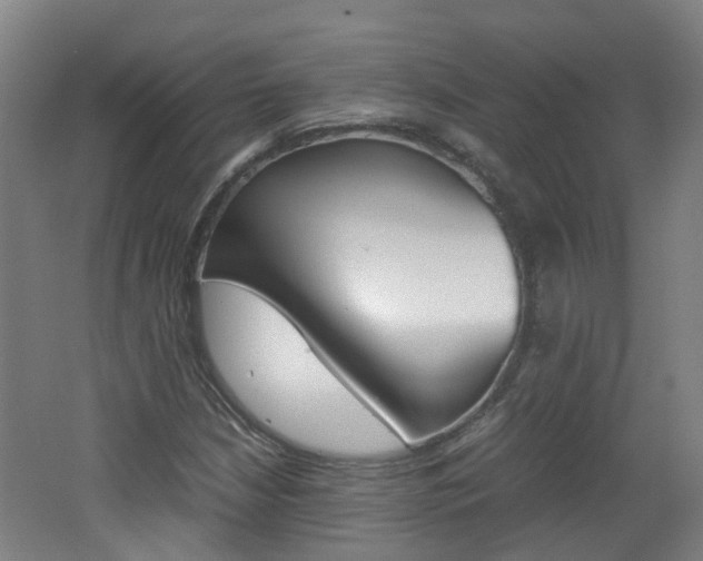 X0000062601210200512210901