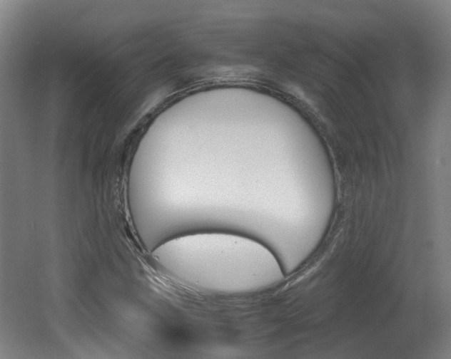 X0000062601211200512210901