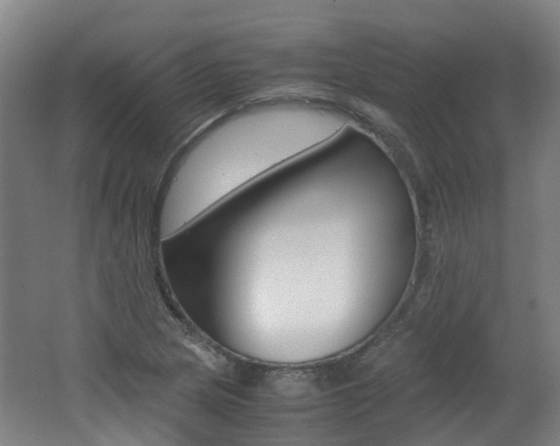 X0000062601217200512210901