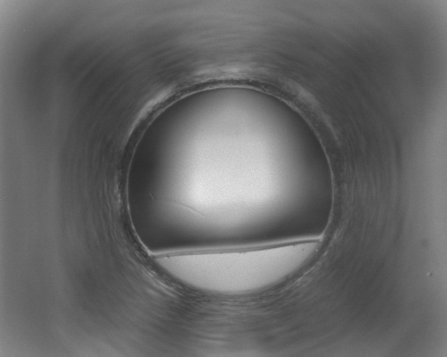 X0000062601218200512210901