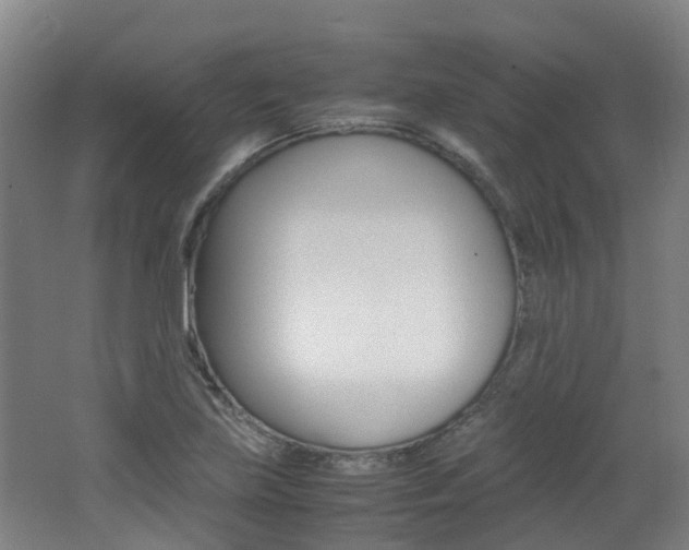 X0000062601219200512210901