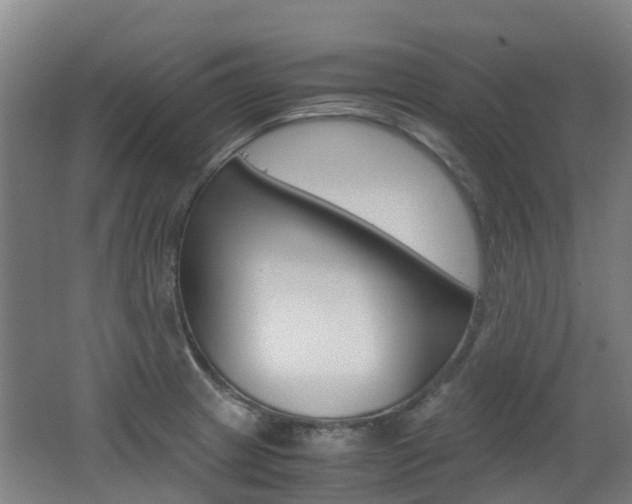 X0000062601233200512210902