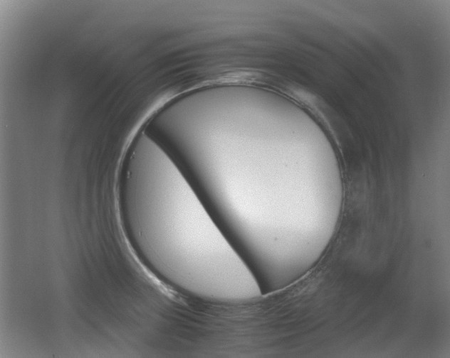 X0000062601235200512210902