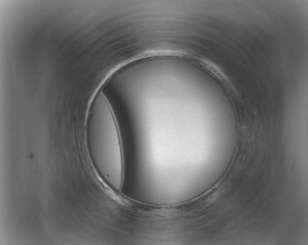X0000062601236200512210902