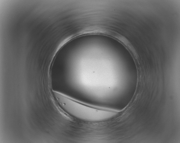 X0000062601242200512210902