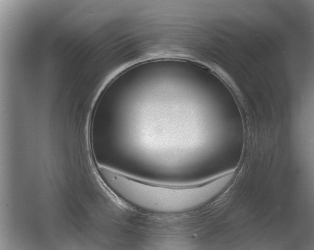 X0000062601246200512210902