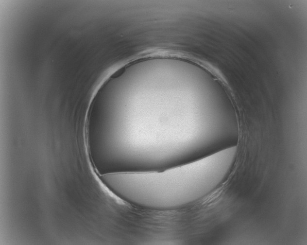 X0000062601247200512210902