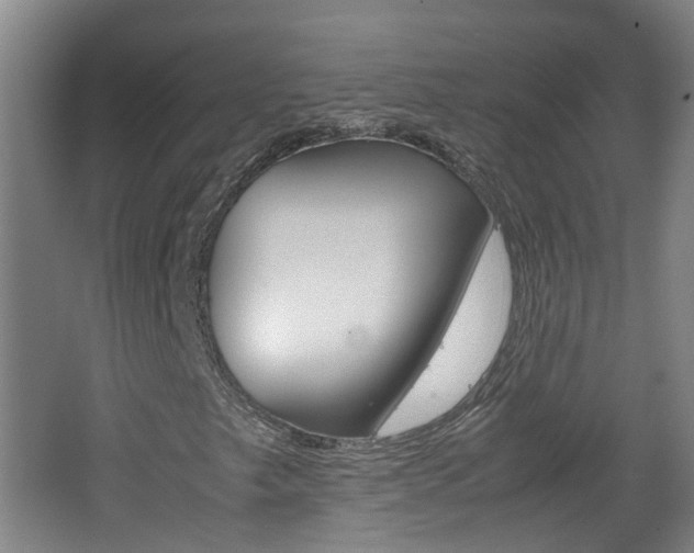 X0000062601249200512210901
