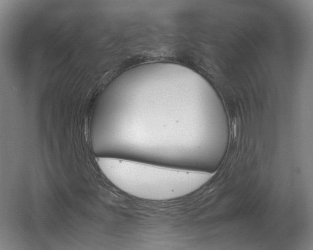 X0000062601251200512210901